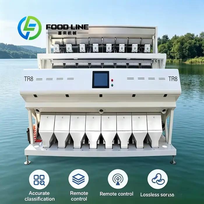 Machine de tri des grains de café commerciale : élimine les grains malsûns et moissonnés pour stabil