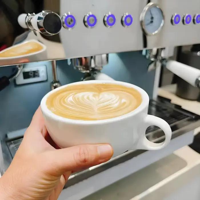 Machine à café expresso électrique professionnelle semi-automatique à double chaudière vibrante personnalisée