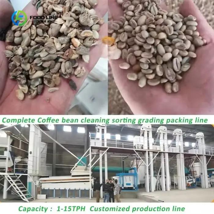 Ligne de traitement de grains de café personnalisée hautement productive pour usines de fabrication, usines alimentaires et fermes