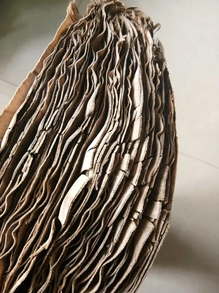 Ensemble de thé Pu'er naturel du Yunnan
