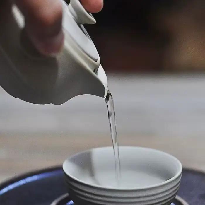 Ensemble de thé de voyage en porcelaine kaki foncé élégant pour amateurs de thé occasions spéciales