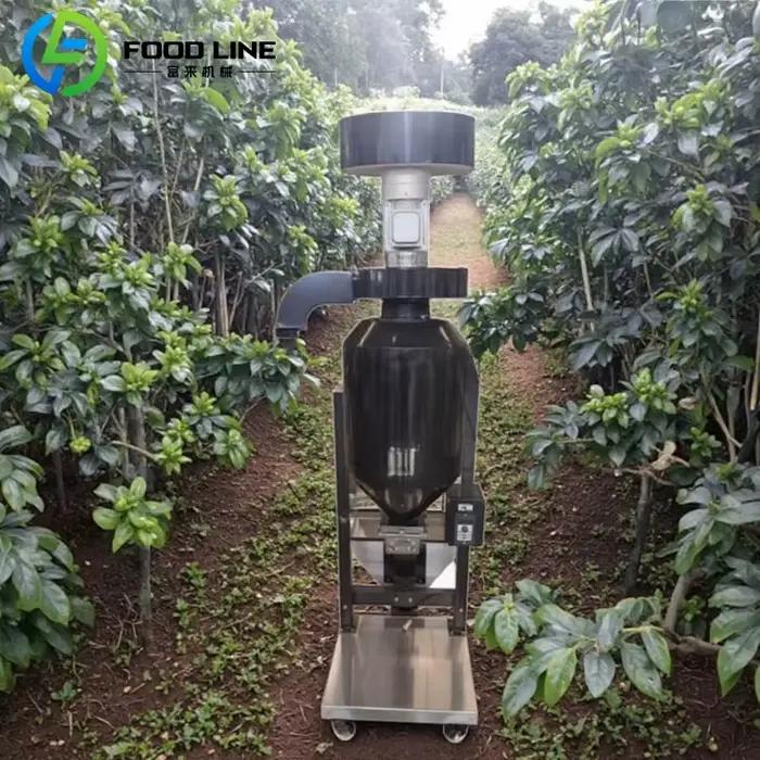 Décontaminateur Commercial personnalisé pour grains de café, contrôle de vitesse réglable, élimination efficace des pierres et débris, acier inoxydable 304, sécurité accrue, idéal pour torréfacteurs professionnels, usage industriel et artisanal